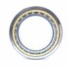 Buy cheap China Quality NU 238 E Cylindrical Roller Bearing NJ238 E M1 from wholesalers