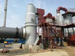 Harmless Biomedical Waste Management Incineration Stainless Steel