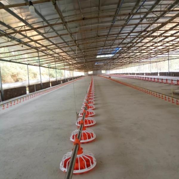 Buy cheap Pan Machine For Poultry Farming Dia 25mm Length 3050mm from wholesalers