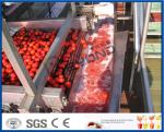 Stainless Steel Tomato Paste Processing Plant For Tomato Sauce Production