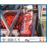 Buy cheap Stainless Steel Tomato Paste Processing Plant For Tomato Sauce Production Process from wholesalers