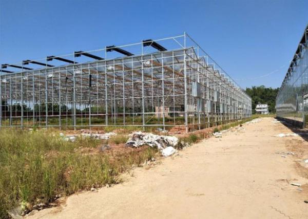 Buy cheap Venlo Glass Greenhouse , Multi Span Greenhouse For Hydroponics System from wholesalers