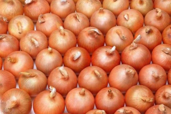 Buy cheap Restaurant Aging Resistance Natural Fresh Onion from wholesalers
