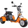 Buy cheap 1000W 3 Wheel Harley Electric Scooter Bike Off Road Citycoco Fat Tire Old People Ride Tricycles from wholesalers