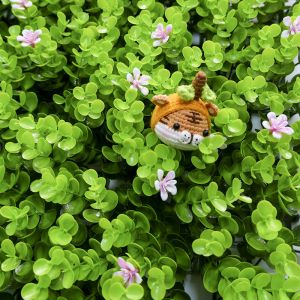 Buy cheap 100x100CM Fake Grass Wall Covering , Green Artificial Wall Grass from wholesalers