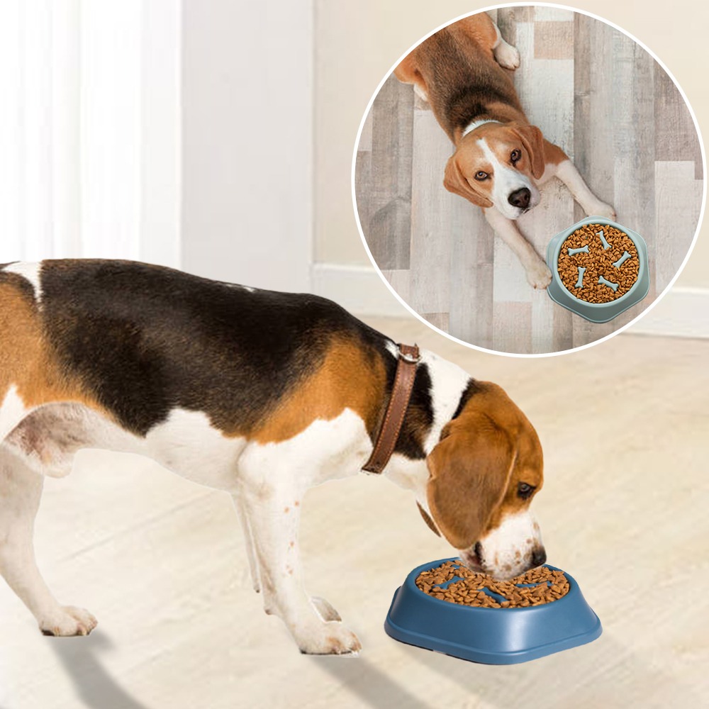 Pet Slow Feeder Dog Bowl Plastic Anti-Gulping Food Plate Feeding Dogs and Cats Bowls