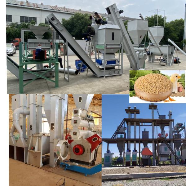 Quality High-Efficiency Feed Pellet Production Line Clean Crush Mix Granulate Cool Screen & Pack for sale