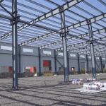 Customization Steel Structure Construction Strong Steel Frame Buildings