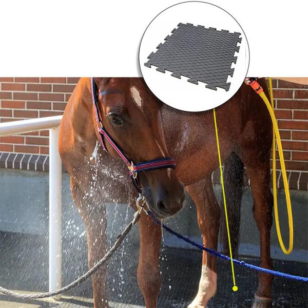 Buy cheap 0.39 Inches Non Slip Rubber Tile For Horse Shower Anti Slip Rubber Mats For Horse Grooming from wholesalers