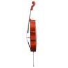 Buy cheap China Hand Made Professional Wholesale Glossy Varnishing 4/4 Cello The panels are made of solid spruce wood from wholesalers