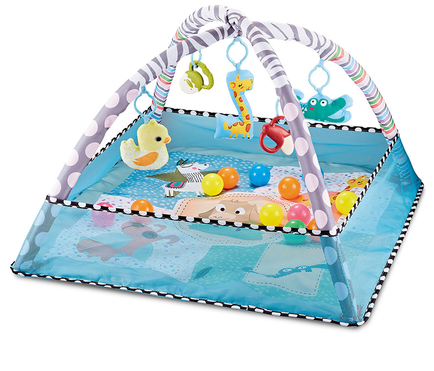 4-in-1 Baby Play Gym, Activity Gym Ball Pit with Sensory Toys for Newborn Infant Toddler to Develop Motor&Cognition