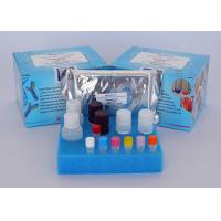 Buy cheap Rapid Detection Apramycin ELISA Test Kit Competitive Enzyme Immunoassay product