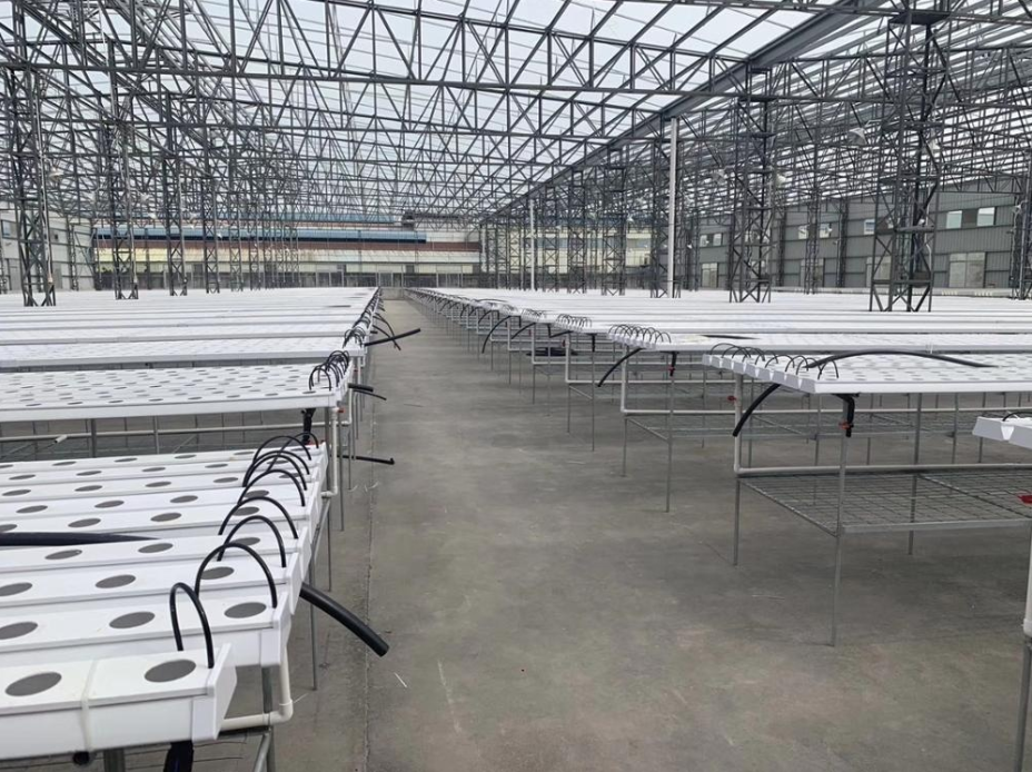 White PVC Hydroponic NFT System for Mass Production Square Tube or 100*50mm Round Pipe