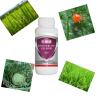 Buy cheap Agrochemicals Natural Vegetable Insecticides chlorfenapyr pesticide SC for Hemiptera Mites from wholesalers