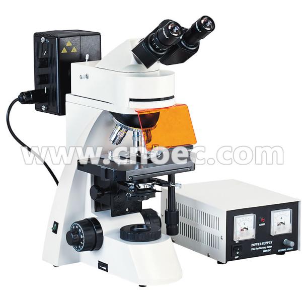 Buy cheap Wide Field Fluorescence Microscope from wholesalers