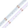 Buy cheap Rgbw Cob Led Light Strip 24v 12mm 784leds/M Light Lamp Ip20 5pin from wholesalers