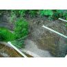 Buy cheap 100*100mm Stainless Steel Rope Mesh Green Wall 1mm Garden Mesh Climbing Plant Support from wholesalers