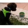 Buy cheap Functional Ceramic Ergonomic Cat Food Bowl Lead Free 200ml Hand Formed Ceramic Dog Bowls from wholesalers