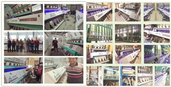 6SXM-64A Mini Color Separation Machine 1.2kw For Groundnut Peanut Sorting