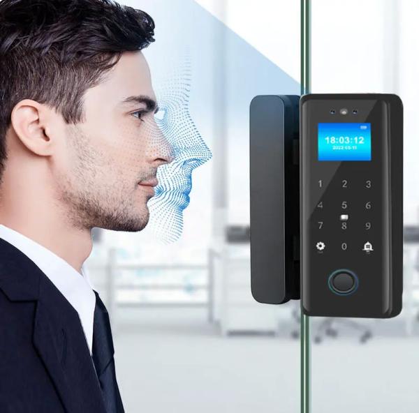 Buy cheap Smart Glass Door Digital Lock 3D Face Fingerprint IC Card Recognition Tuya Access from wholesalers
