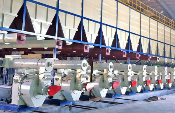 Buy cheap Malaysia 8mm Pellet Making Equipment from wholesalers