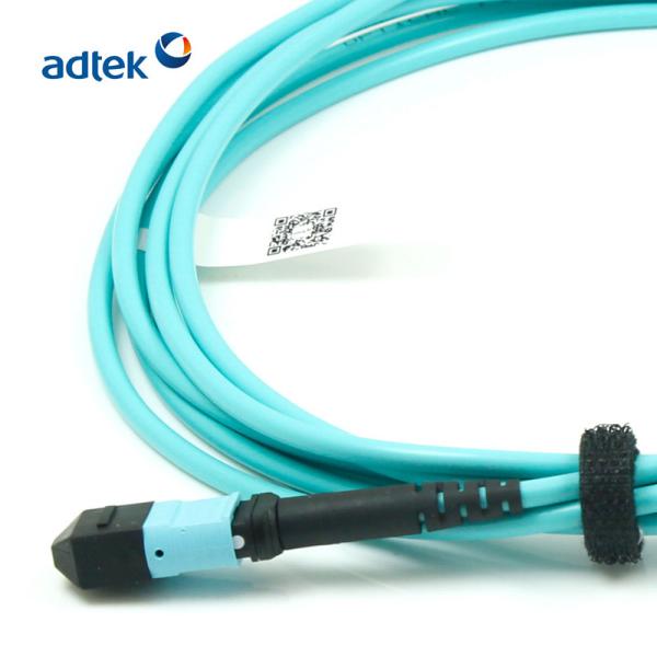 Buy cheap MTP-MTP Female To Female OM3 12/24 Fibers 3M PVC/LSZH Aqua Trunk Cable from wholesalers