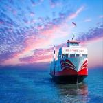 International FCL LCL From China To South America Sea Freight Forwarder