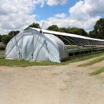 Plastic Film Fully Automated Blackout Light Deprivation Greenhouses Prefabricate