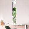 Buy cheap Creative Plant LED Pendant Lights Modern Indoor Lighting Grass Hanging Lamps(WH-GP-69) from wholesalers