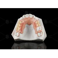 Buy cheap White And Pink Peek Flexible Acrylic Partial Denture With Excellent Resistance product