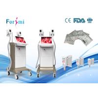 Buy cheap Free Postage ISO Approval Vacuum Cryolipolysis Fat Reduction Machine product