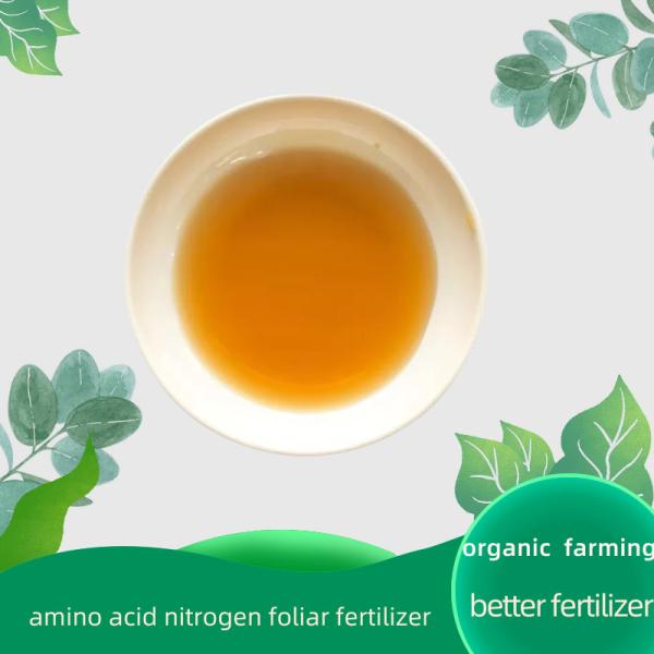 Liquid Organic Nitrogen Fertilizer 1000L/Drum NPK 2-0-0 Ca5% Organic Calcium