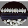 Buy cheap 1 Oz Raw Snow White Pumpkin Seeds Edible For Planting from wholesalers