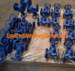 GG25 PN16 DIN 3356 bellows globe valve with competitive prices made in China