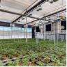 Buy cheap Inner Shading System DIY Light Dep Blackout Tarp Greenhouse 30-60m from wholesalers