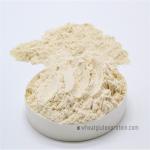 8002-80-0 Light Yellow Powder 82.2% Wheat Gluten Protein