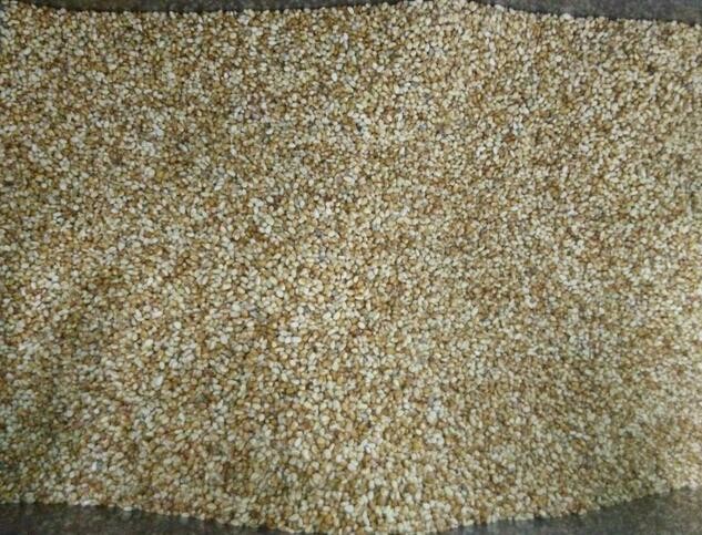 220V 50HZ Pine Nuts Color Sorter With 4096 PIXEL CCD Sensor