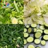 Buy cheap Multifunction Cucumber Shredded Radish Vegetable Processing Machine bamboo shoots from wholesalers