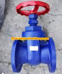 BS flanged gate valve with metal seal