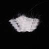 Buy cheap Hollow Hard Cotton Low Melting Fiber 15D 64mm Solid Staple Polyester Fibre from wholesalers
