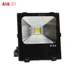 Garden and outdoor IP65 waterproof COB 50W LED Flood light/LED outdoor led spot