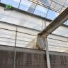 Buy cheap Arched Roof Multispan Hydroponics Plastic Film Agricultural Greenhouse for Commercial Farm from wholesalers