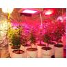 Buy cheap DC12V IP68 full spectrum 4ft hydroponic greenhouse LED grow light 15/30/45/60W from wholesalers