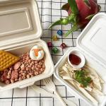 Buy cheap 600ml Lunch Biodegradable Bagasse Tableware Disposable Takeaway Containers from wholesalers
