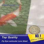 PLASTIC LENTICULAR 17 lpi 3d fly eye lenticulars lens sheet PS dot lenticular
