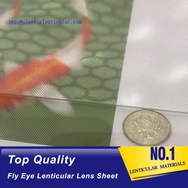 Buy cheap PLASTIC LENTICULAR 17 lpi 3d fly eye lenticulars lens sheet PS dot lenticular lenses material from wholesalers
