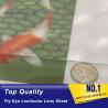 Buy cheap PLASTIC LENTICULAR 17 lpi lenticular fly eye lenslet sheets-360 3d microscopes and magnifying glasses from wholesalers