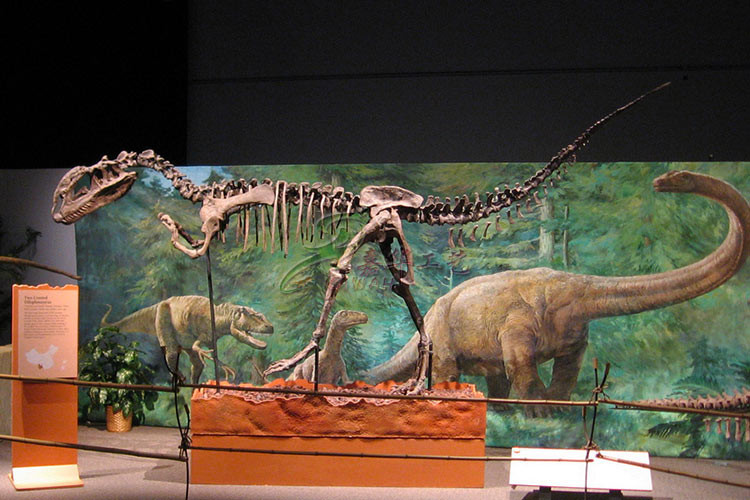 Vivid Complete Dinosaur Skeleton Bones For Science And Technology Museum