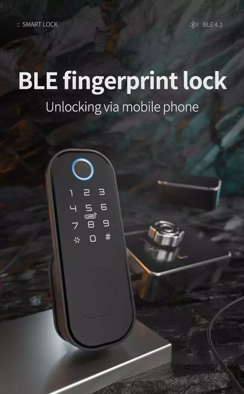Keyless WiFi Home Electric Keypad Deadbolt 12V Rim Door Locks