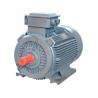 Buy cheap AC Low Voltage Squirrel Cage Induction Motor Three Phase 400v from wholesalers